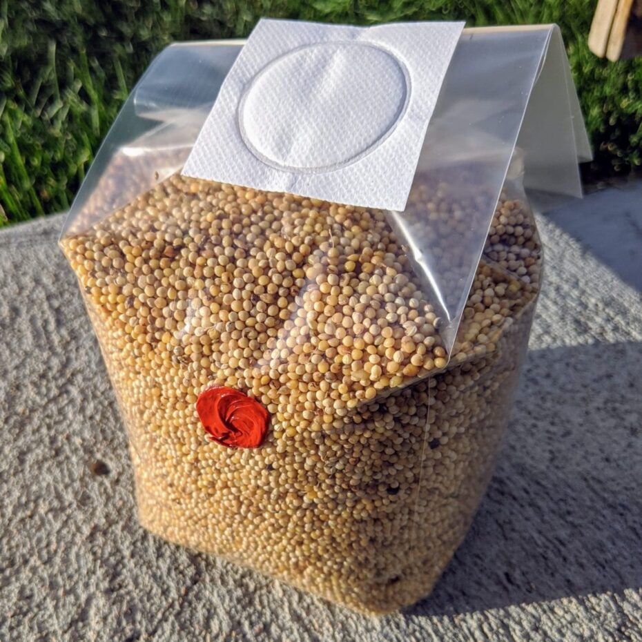 White Millet Grain Spawn Bag. Milliken Mushroom Supply