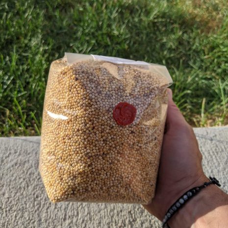 millet spawn bag