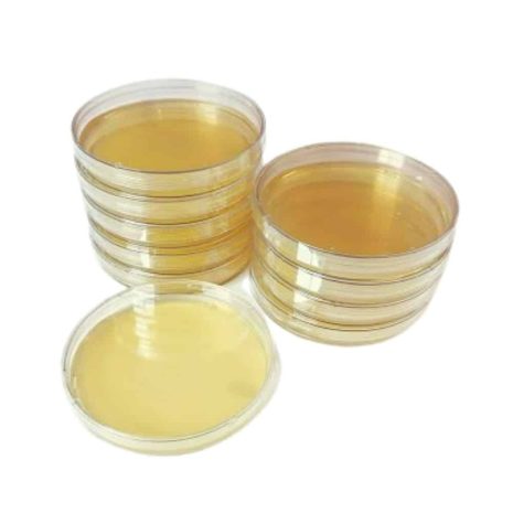 Potato Dextrose Agar (PDA) Dishes For Mushroom Work (25 pack ...