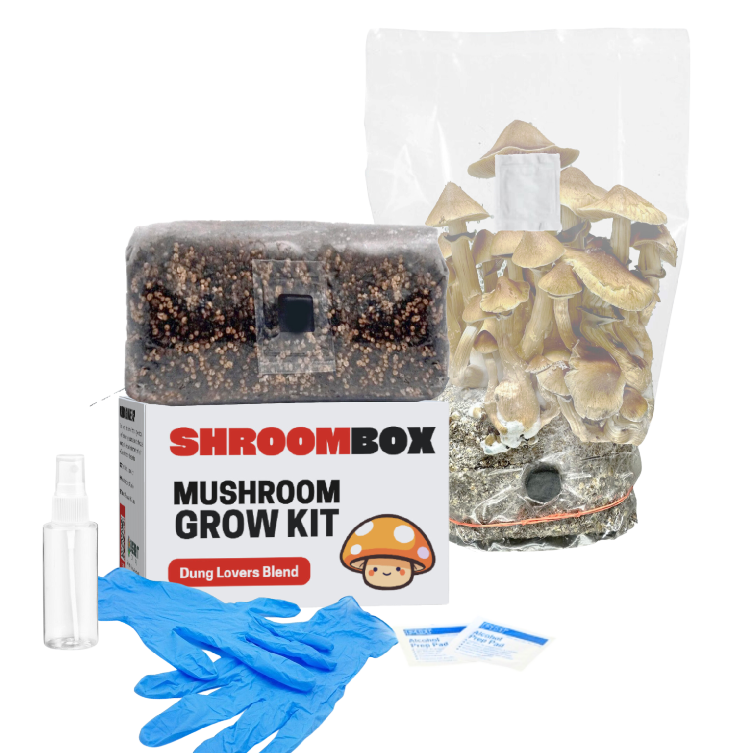 Mushroom Growing Supplies, Grow Kits, Grain Bags, and More!